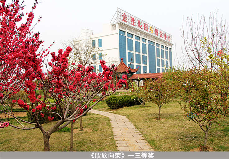 20150520105234593459 中国·3044永利集团(集团)有限公司-官方网站