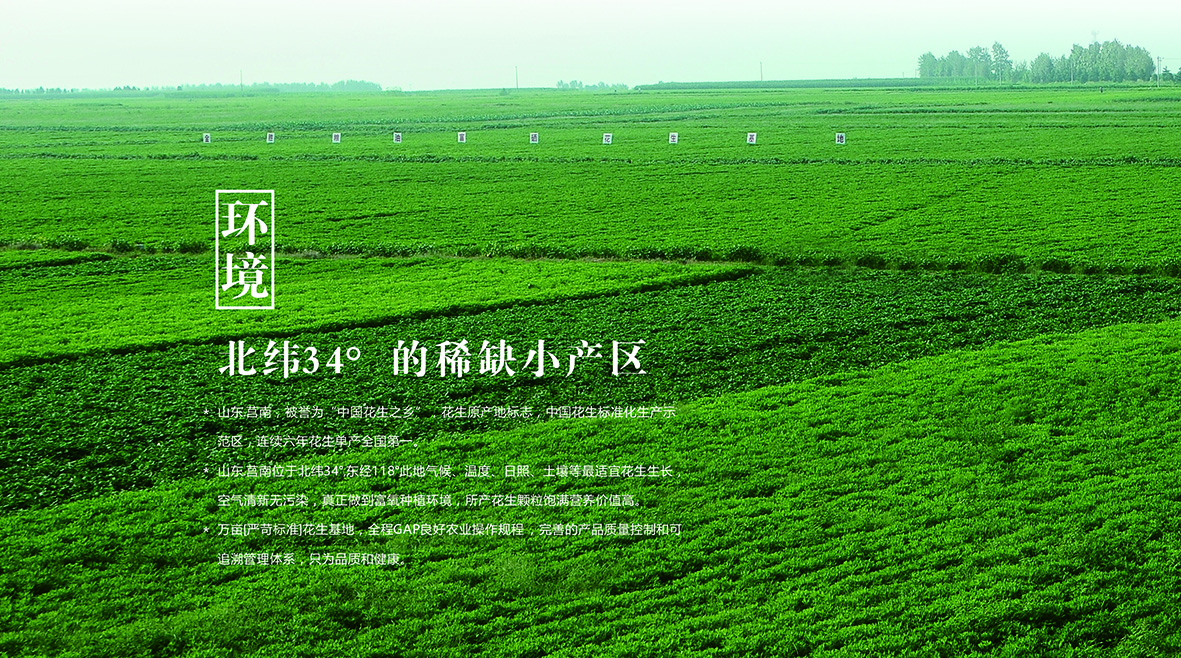 中国·3044永利集团(集团)有限公司-官方网站