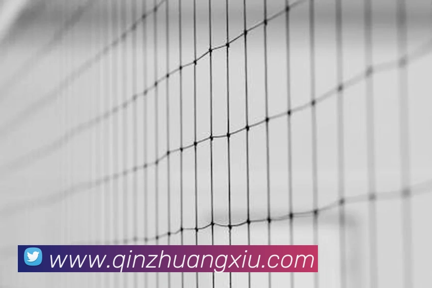 pg国际网平台生态图