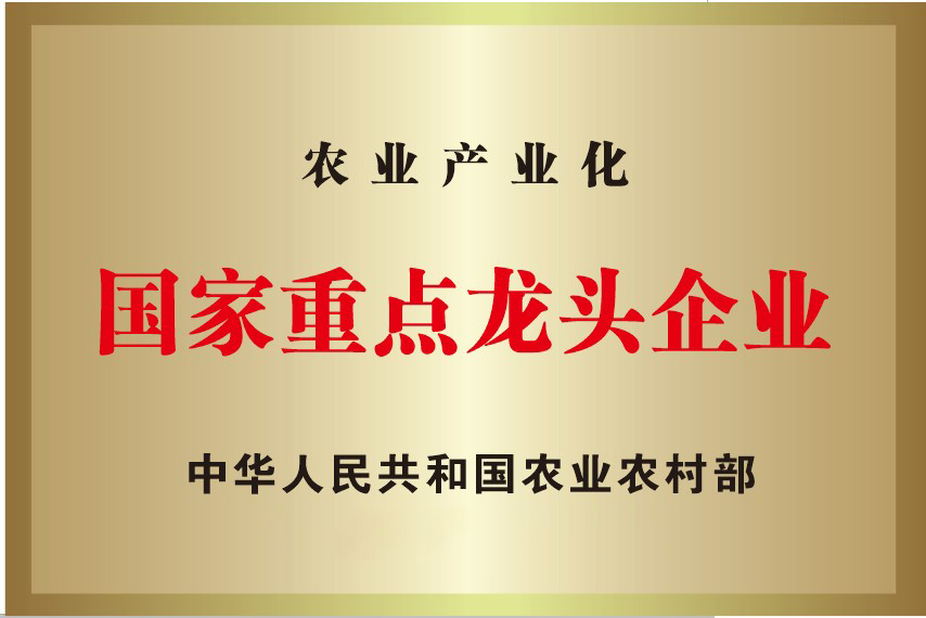 中国·3044永利集团(集团)有限公司-官方网站